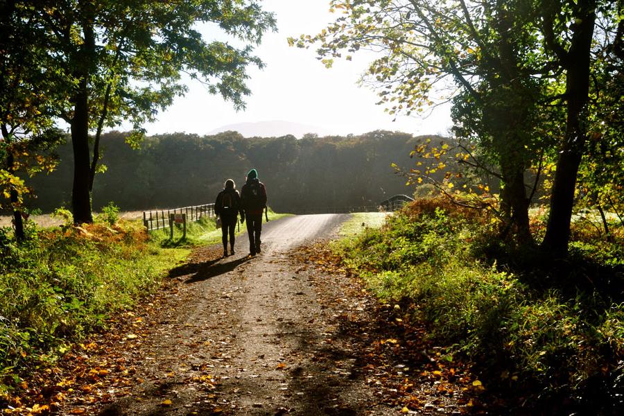 Two Agnes Scott study abroad students walking down a sunny path in Ireland.